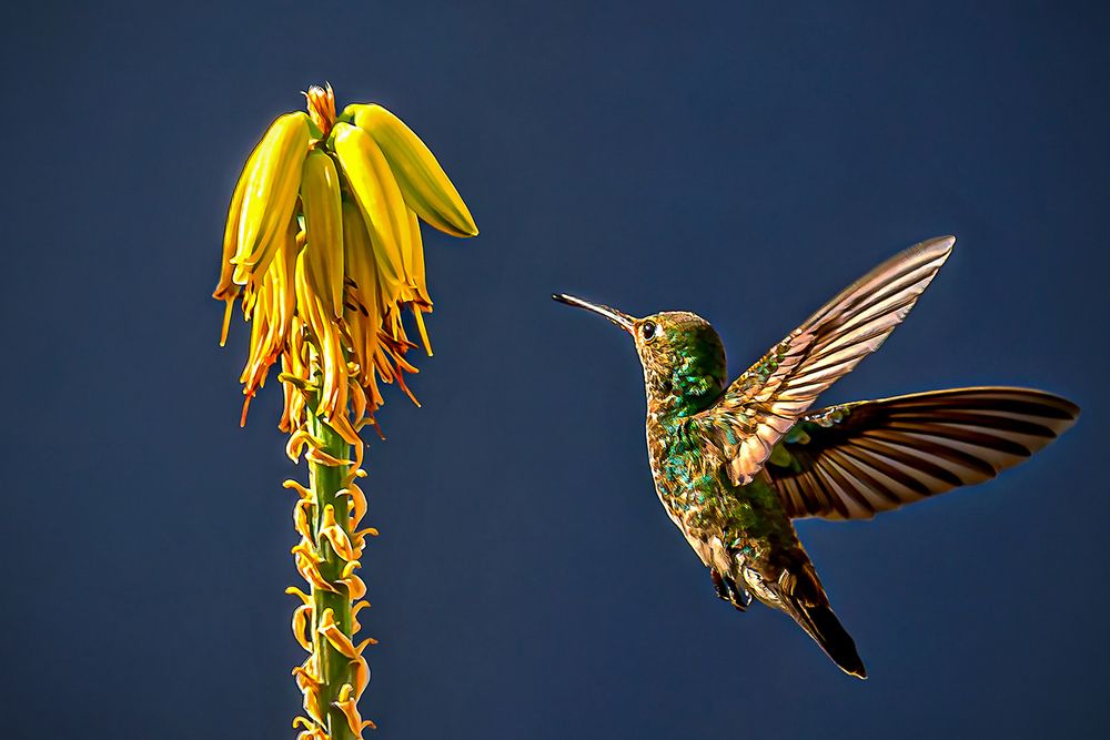 Photograph by Rodolfo Pimentel