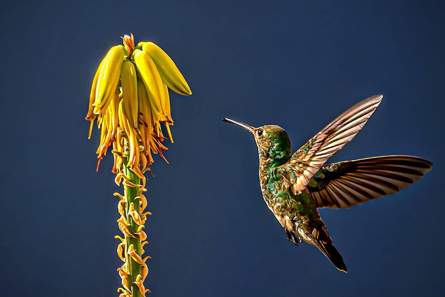 Фотография #13241090