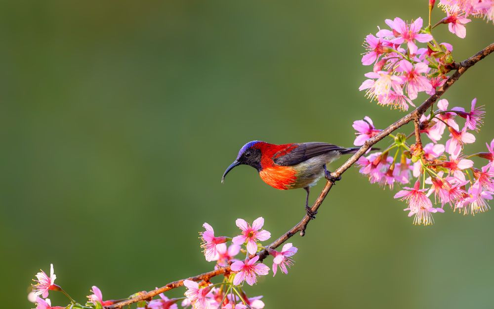 Photograph by Leo Ngo