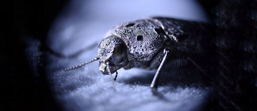 Photograph by Ali Deyabadi