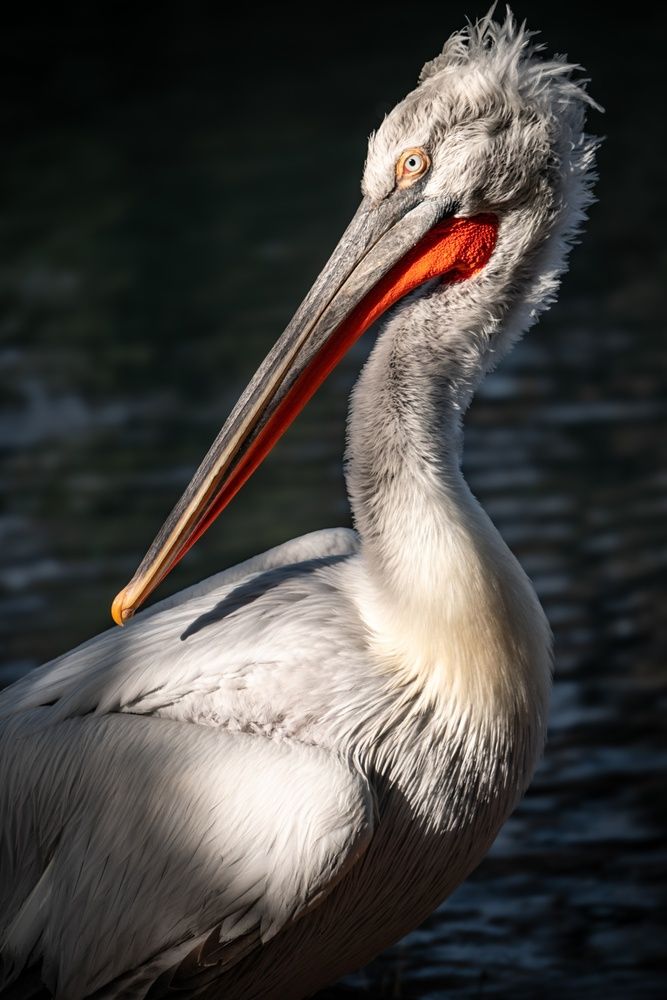 Photograph by Ярослава Иванова