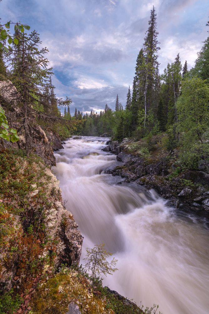 Фотография автора Третьякова Анастасия