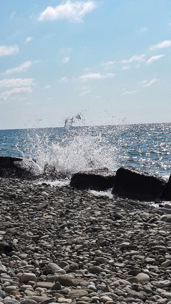 Photograph by Римма Волченко