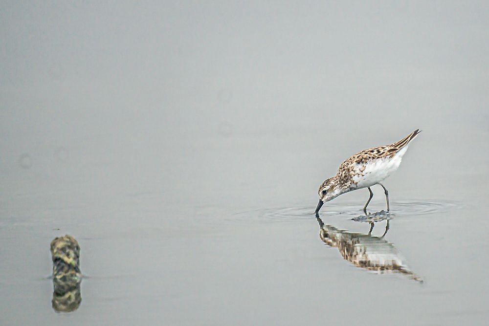 Photograph by Rodolfo Pimentel