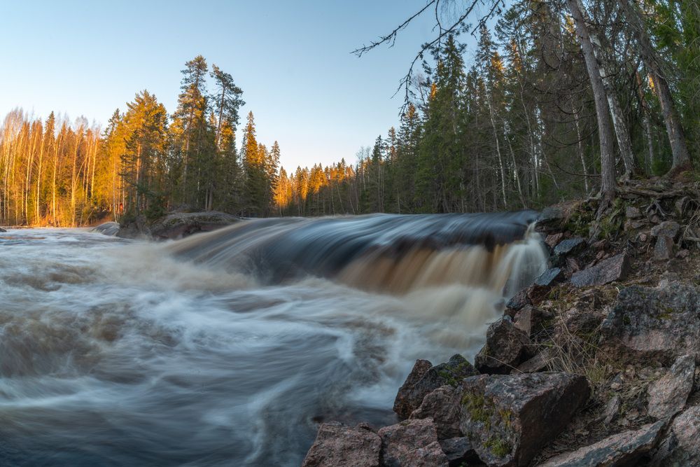 Фотография автора Третьякова Анастасия