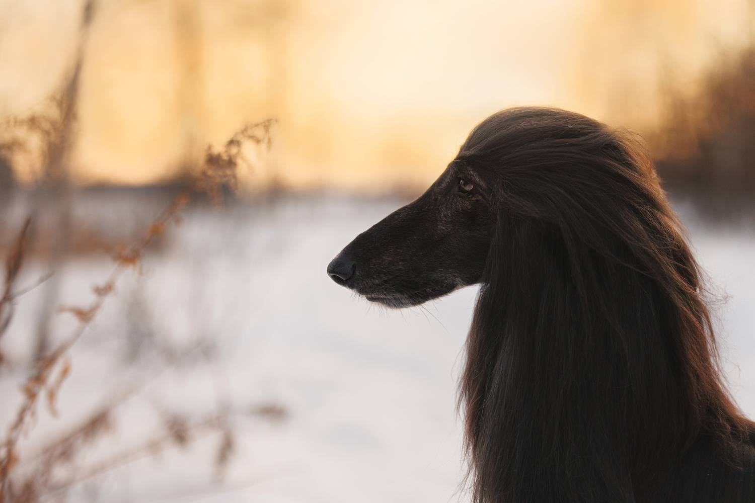 Фотография #13241182