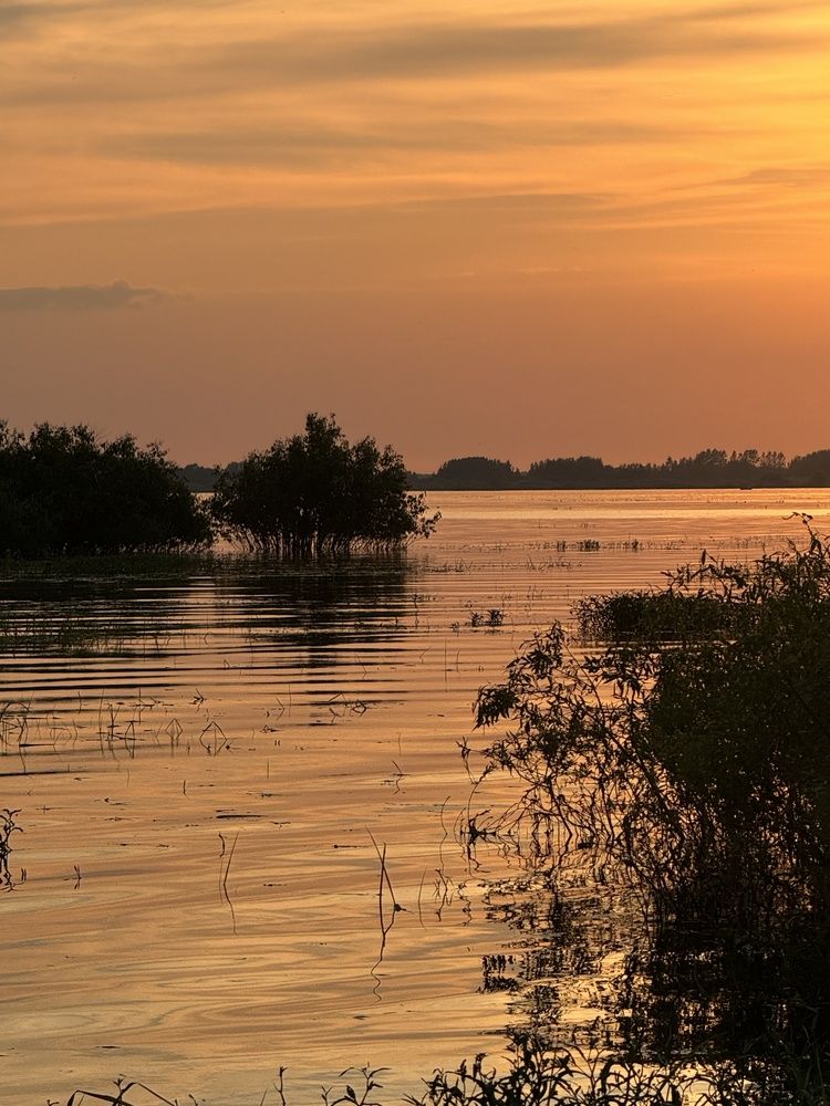 Фотография автора Дарья Викторова