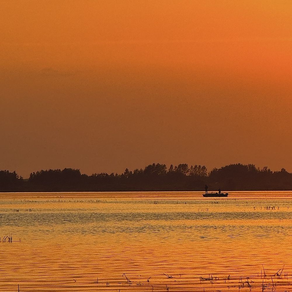 Фотография автора Дарья Викторова