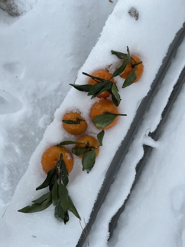 Photograph by Анна