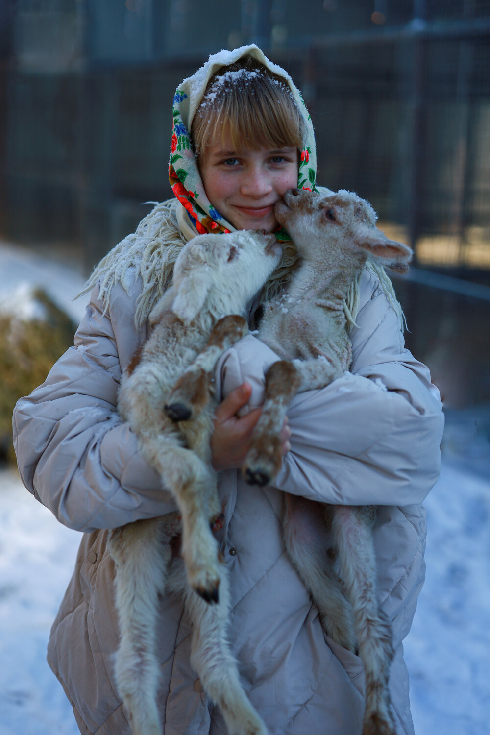 Photo #13241255