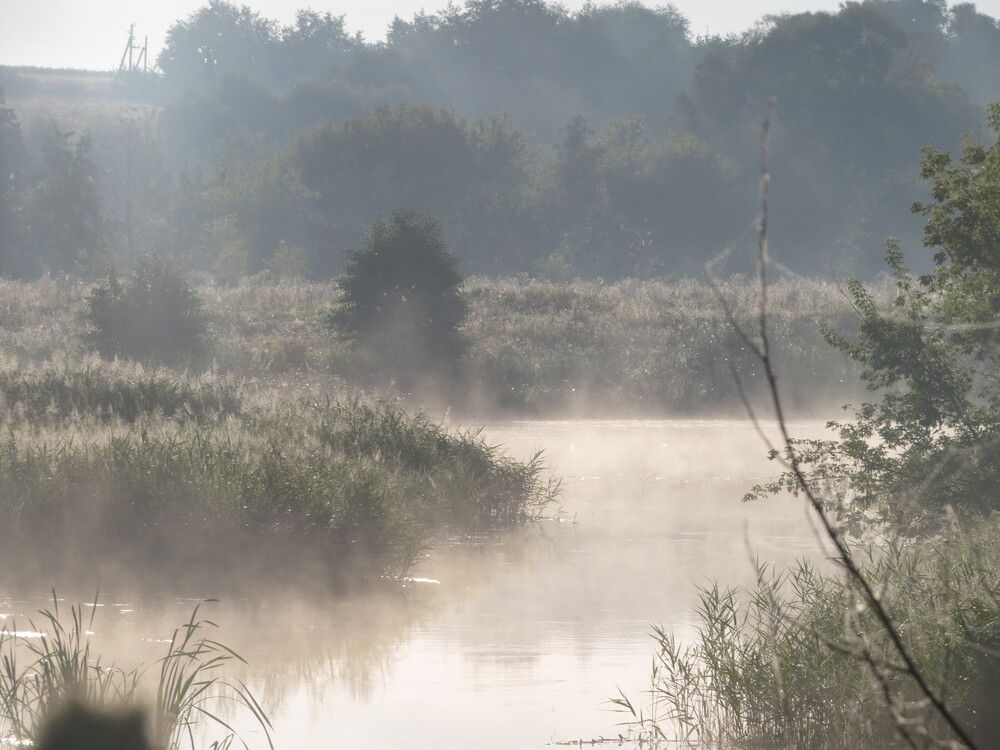 Photograph by Лариса Басова