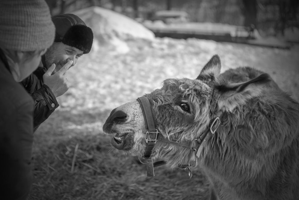 Photograph by Рыболов Андрей