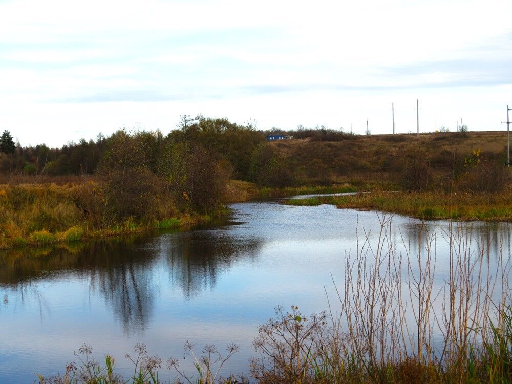 Photograph by Лариса Басова