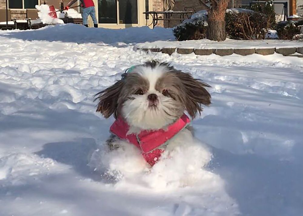 Photograph by Carla Rodrigues