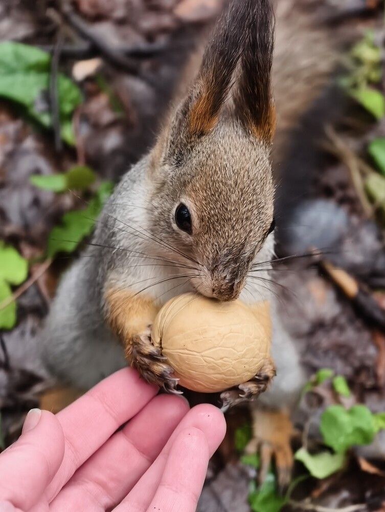 Photograph by Галина Бессуднова