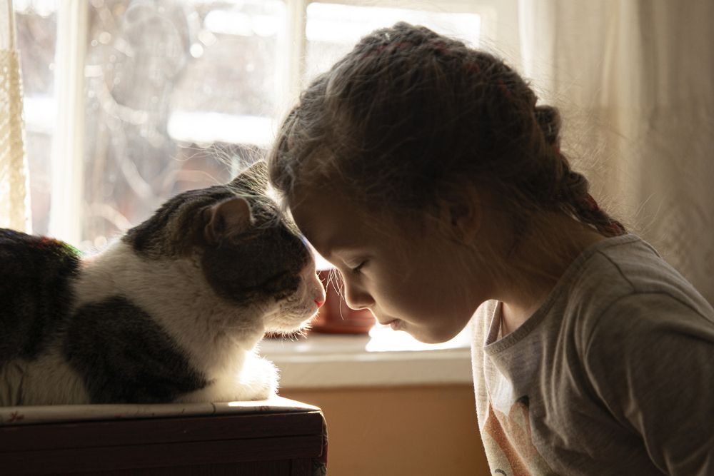 Photograph by Дарья Юсарева