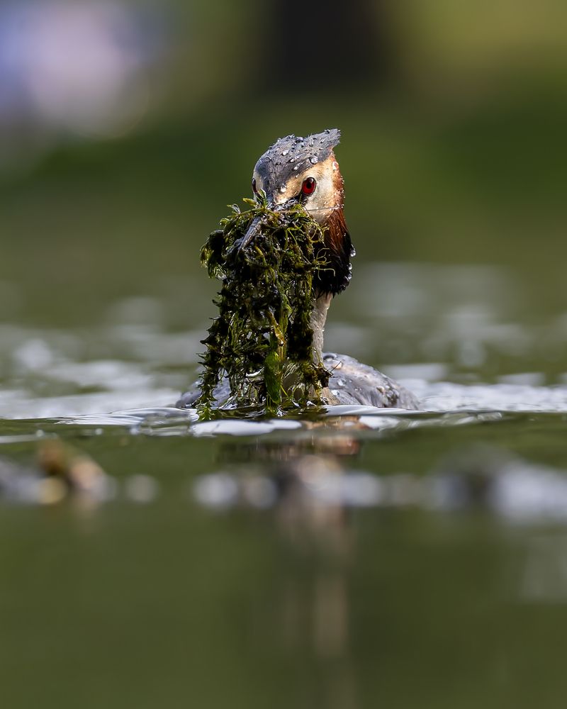 Photograph by Ruslan Pl