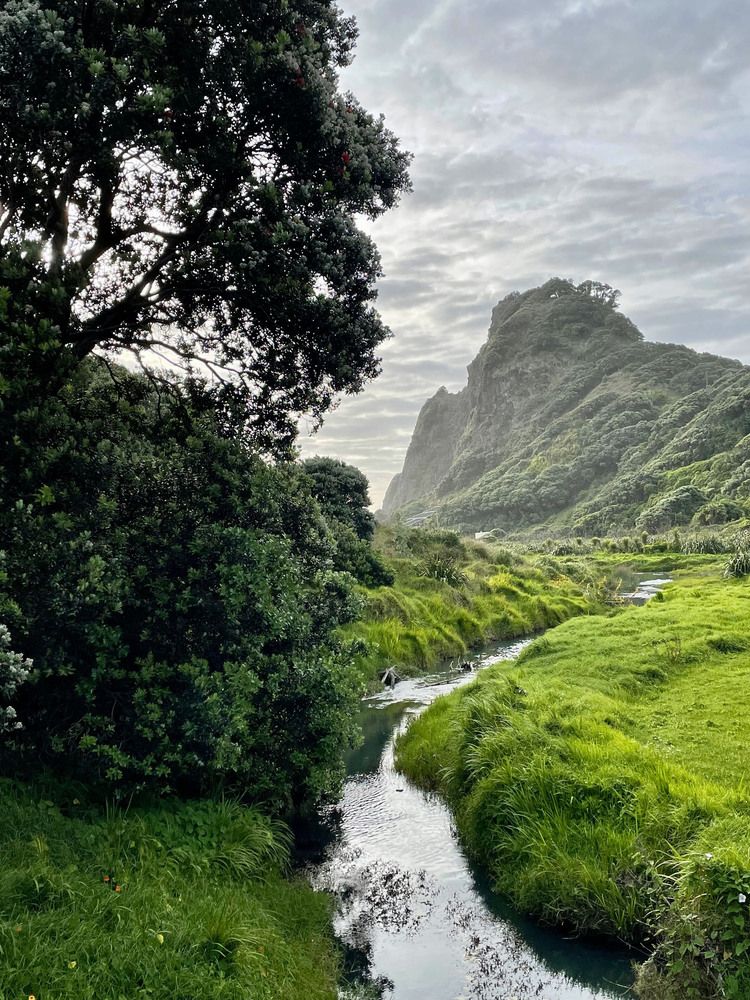 Фотография автора Марина Виноградова