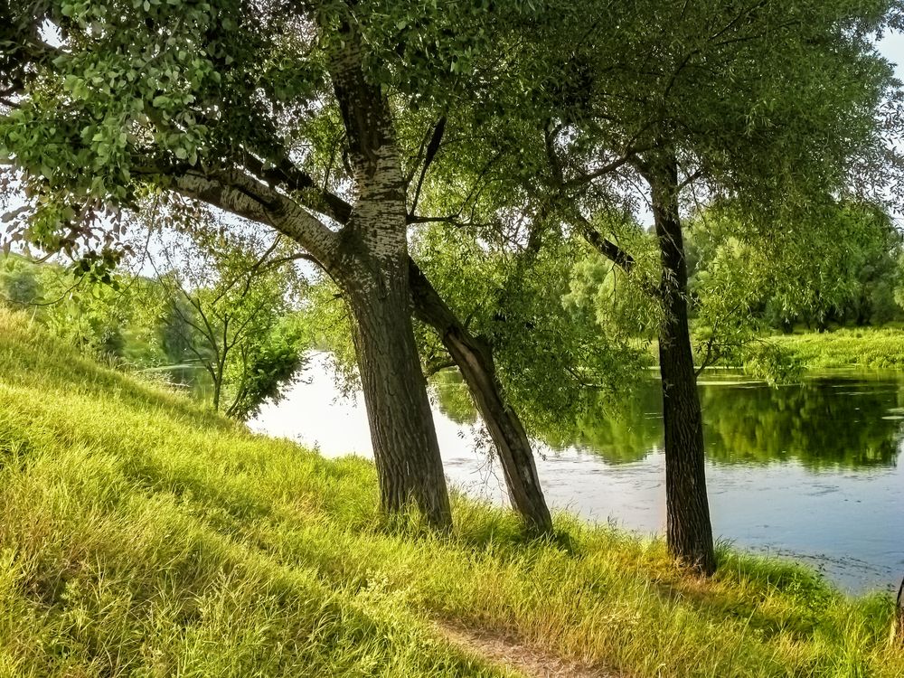 Фотография автора Виталий Са
