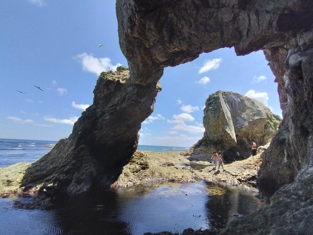 Photograph by Игорь Пшеничников