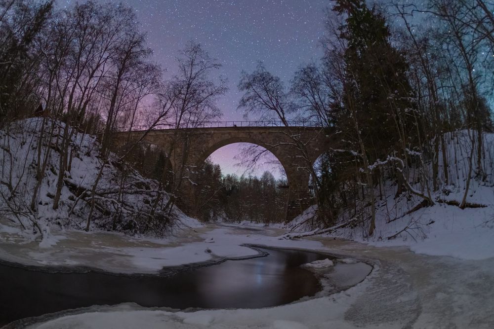 Фотография автора Третьякова Анастасия