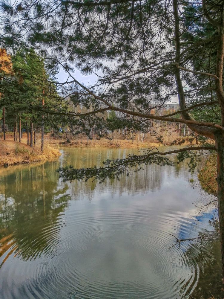 Фотография автора Виталий Са