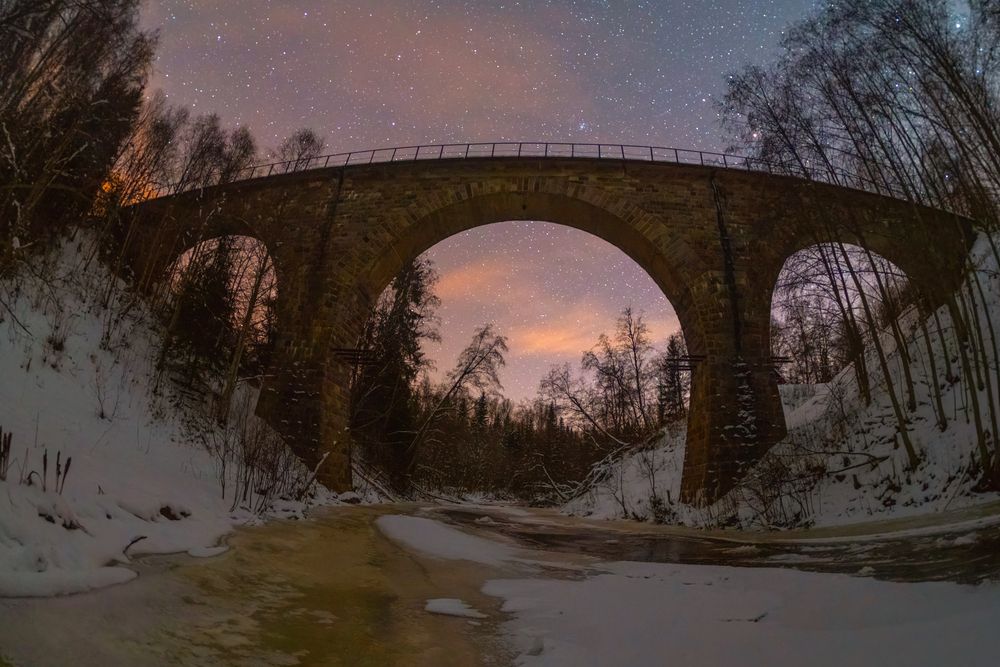 Фотография автора Третьякова Анастасия