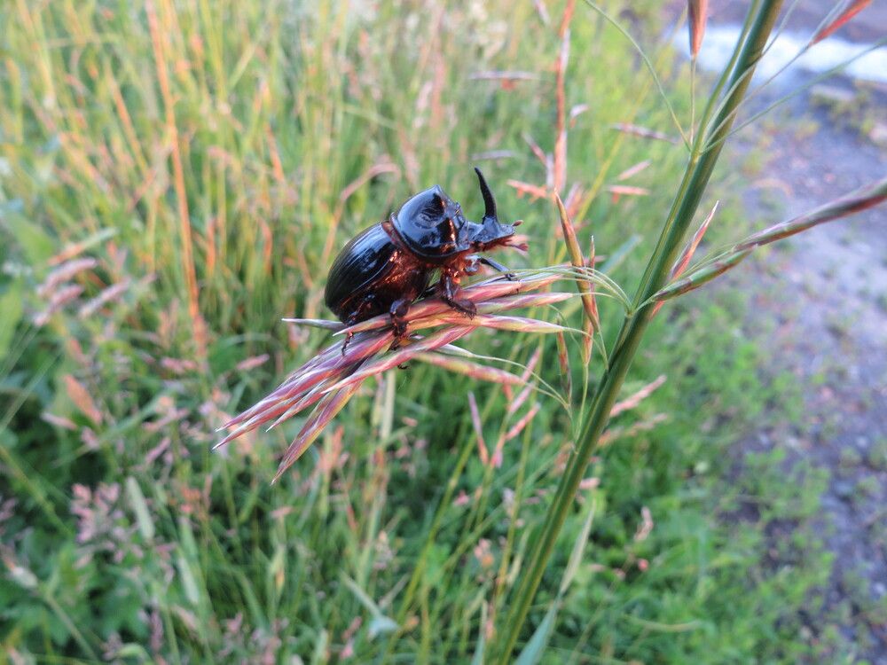 Photograph by Лариса Басова