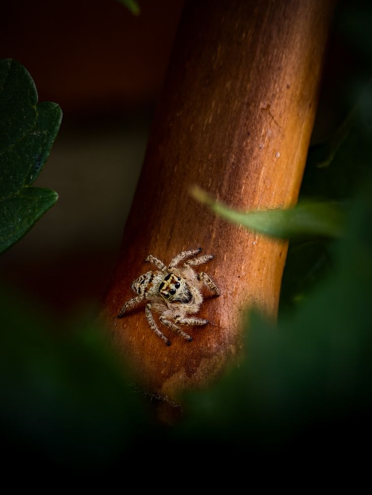 Photograph by Былков Евгений