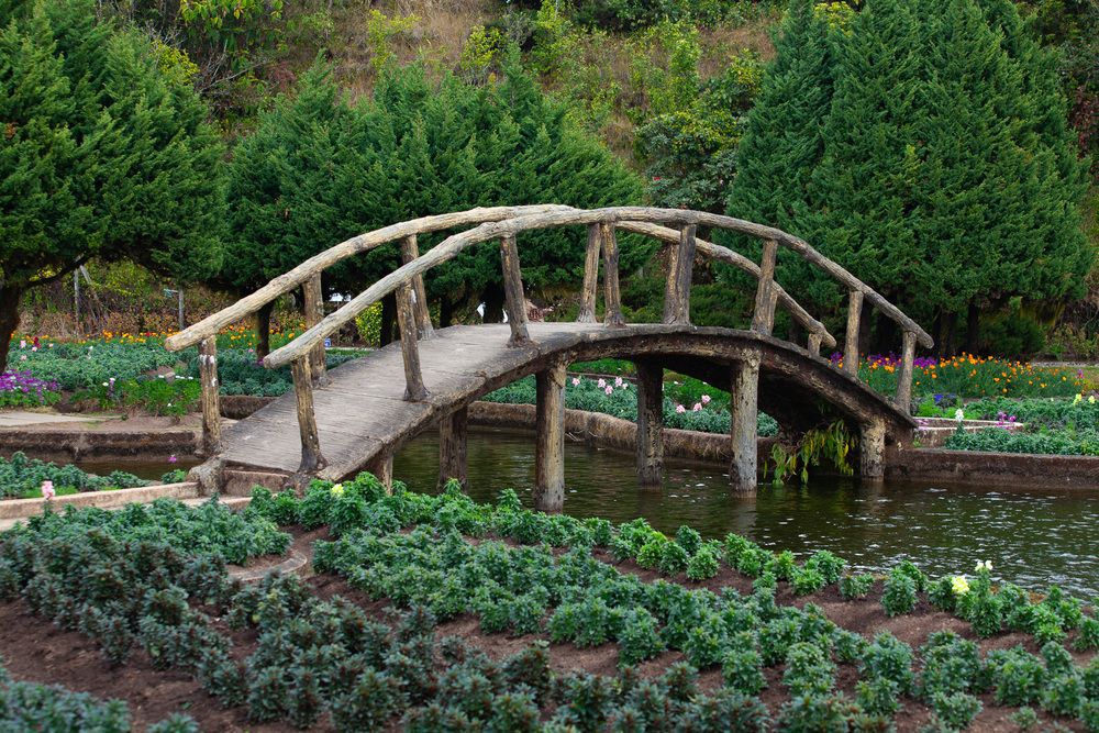 Photograph by Трегубов Лада