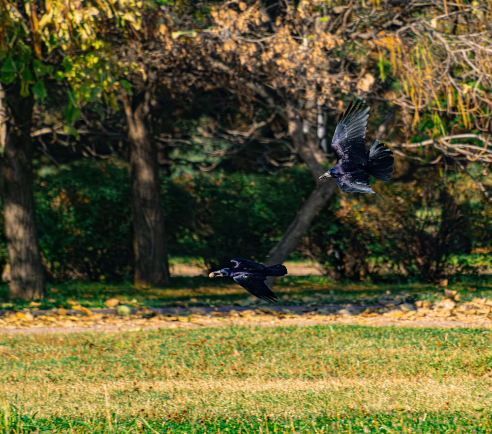 Photograph by Егор Поленов