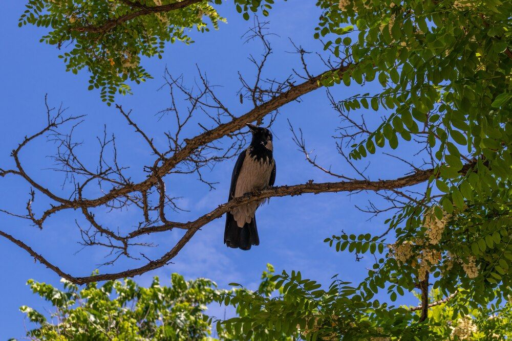 Фотография автора Виталий Панченко