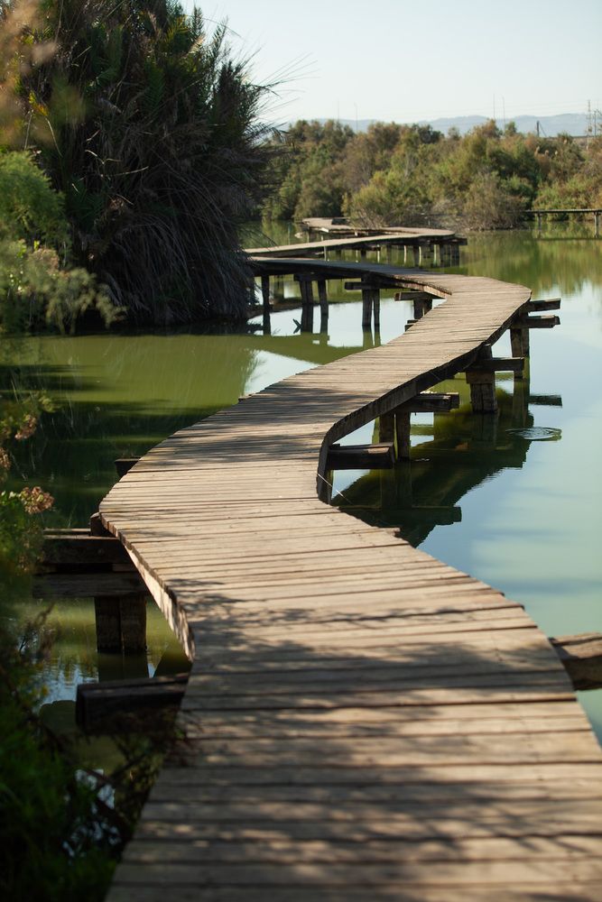 Photograph by Трегубов Лада