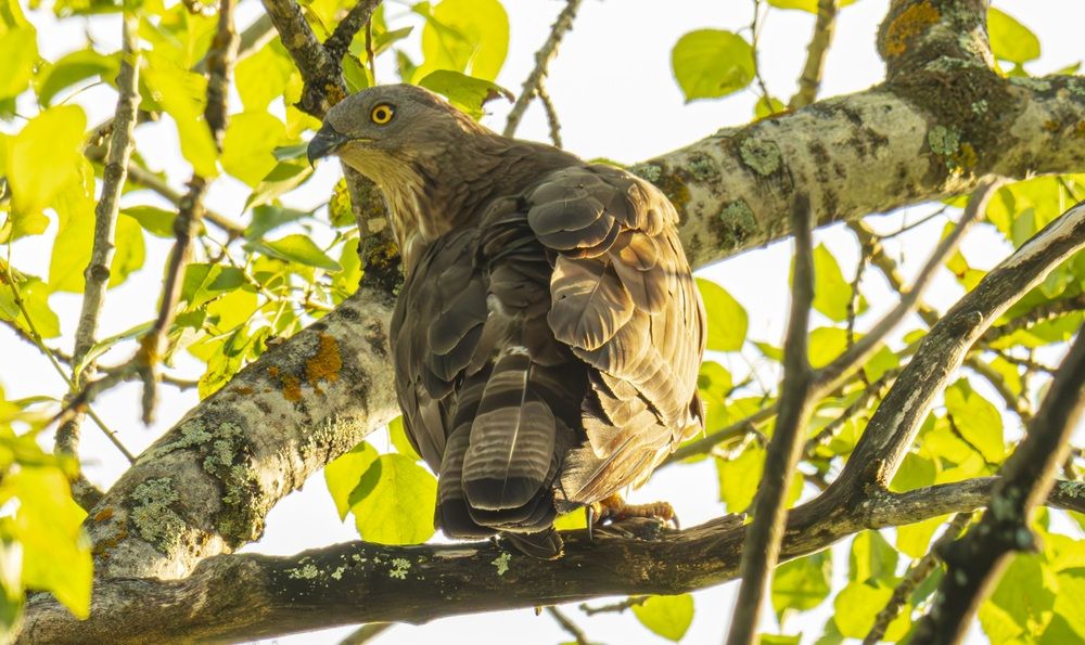 Photograph by Beshenyaga Media