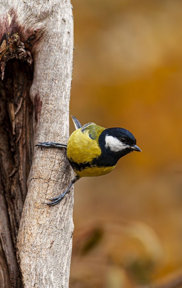 Photograph by Beshenyaga Media