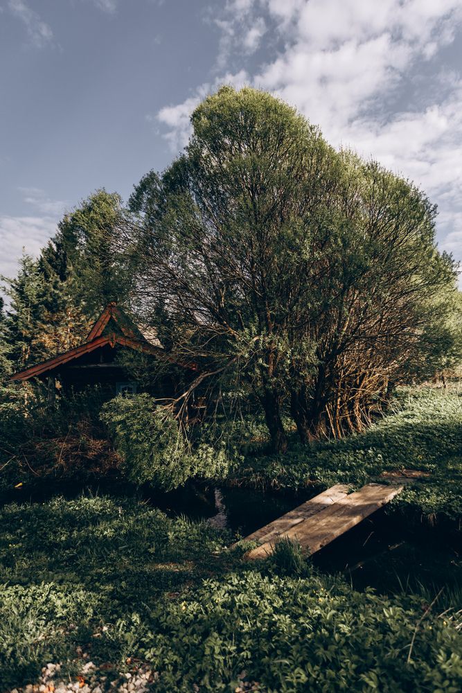 Photograph by Анастасия