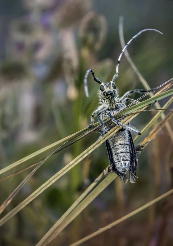 Фотография автора Александра Щирова