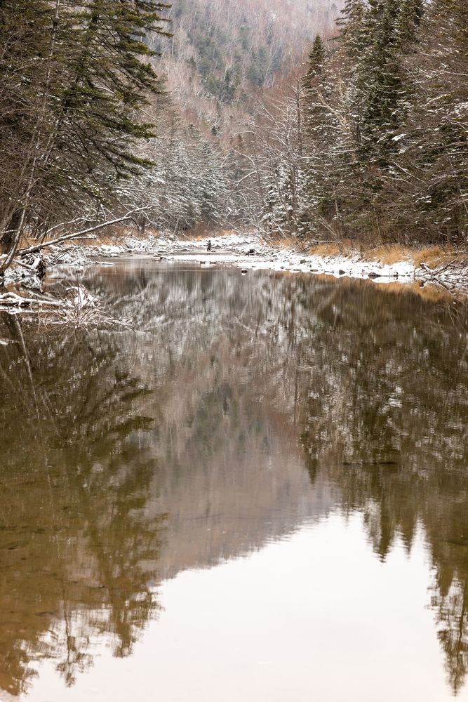 Photograph by Нестеренко Виктория
