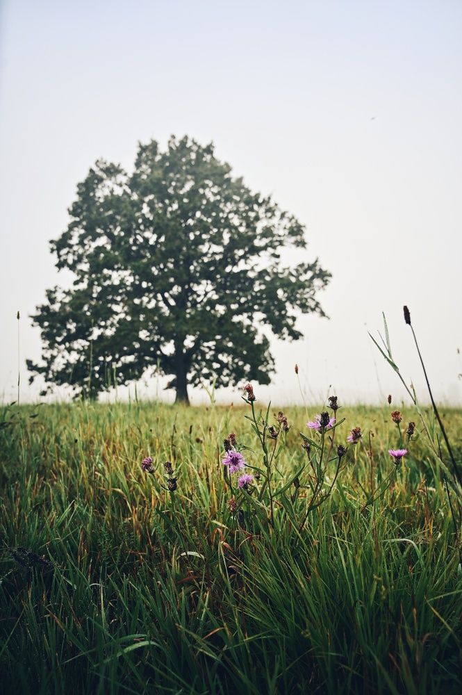 Photograph by Никита Русецкий