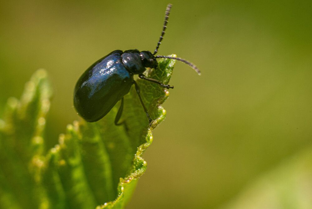 Фотография автора Aлексей Игнатьев