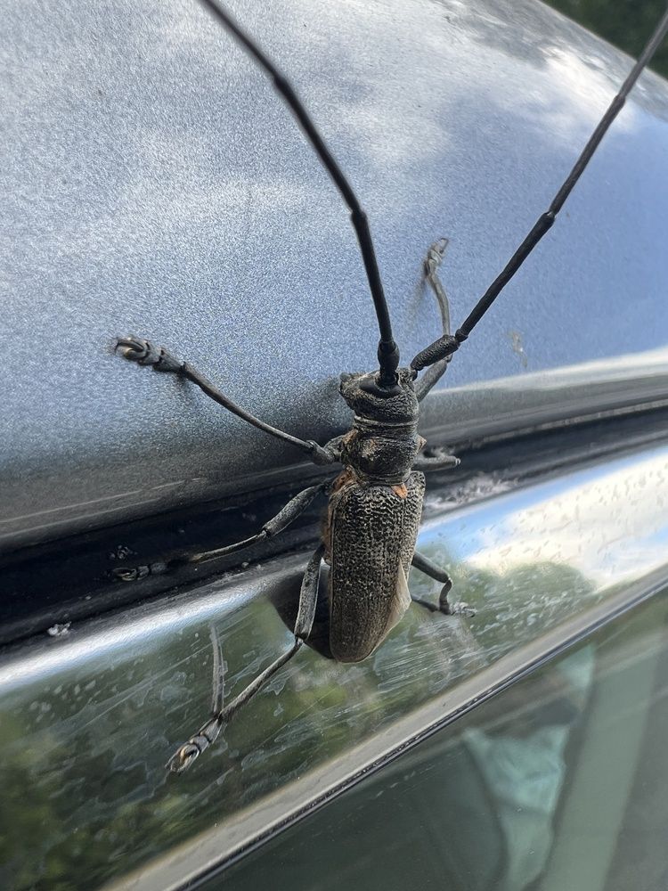 Photograph by Александра Акси