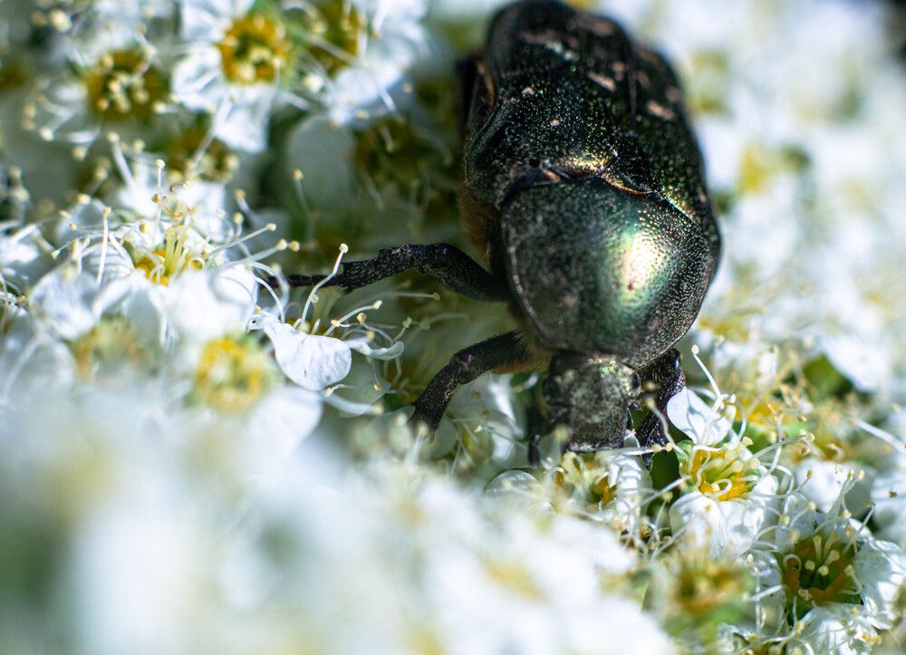 Фотография автора Aлексей Игнатьев