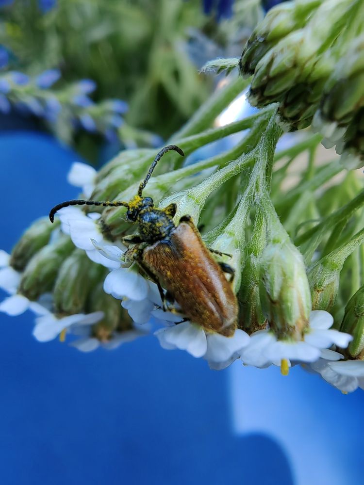 Photograph by Чкареули Светлана