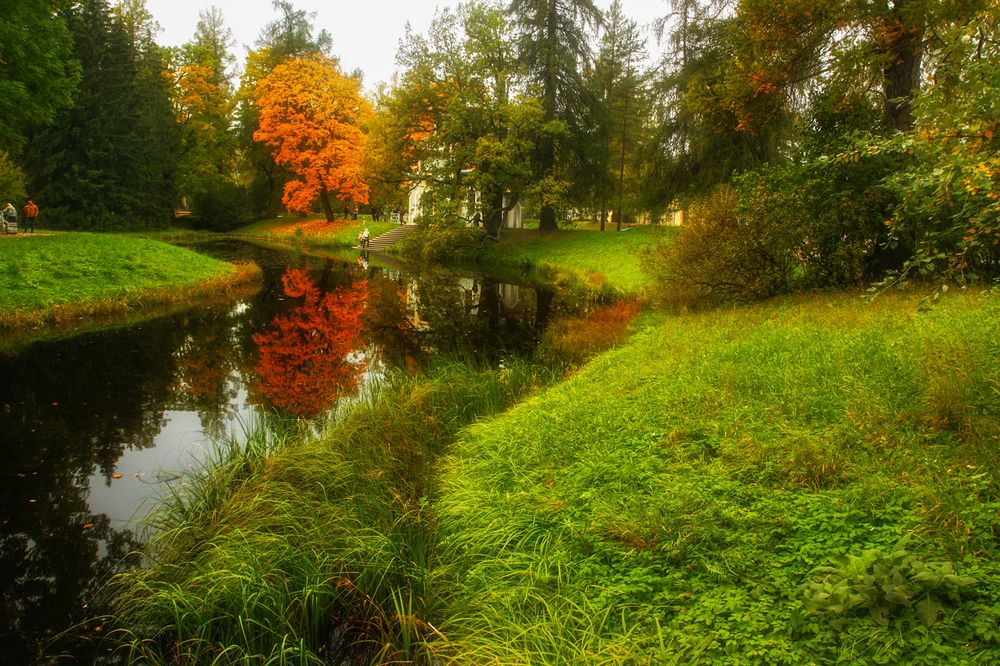 Photograph by Ольга Литвинцева