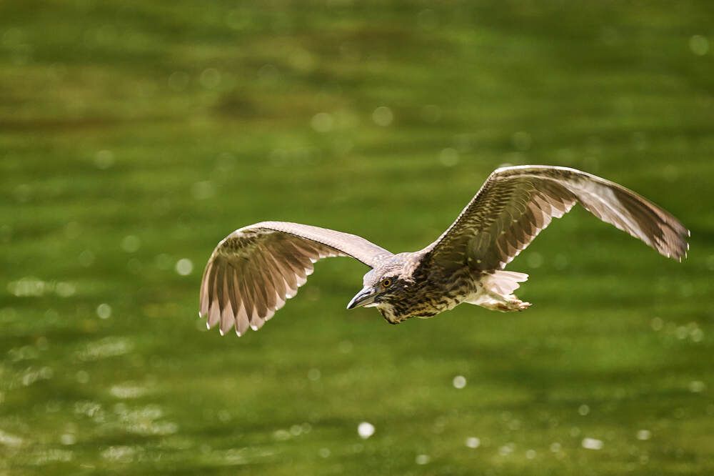 Photograph by Дмитрий Солодухин