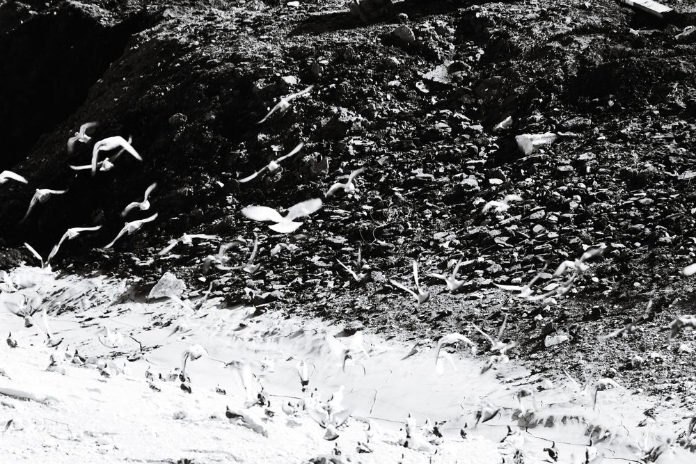 Фотография автора Vladimir liametz