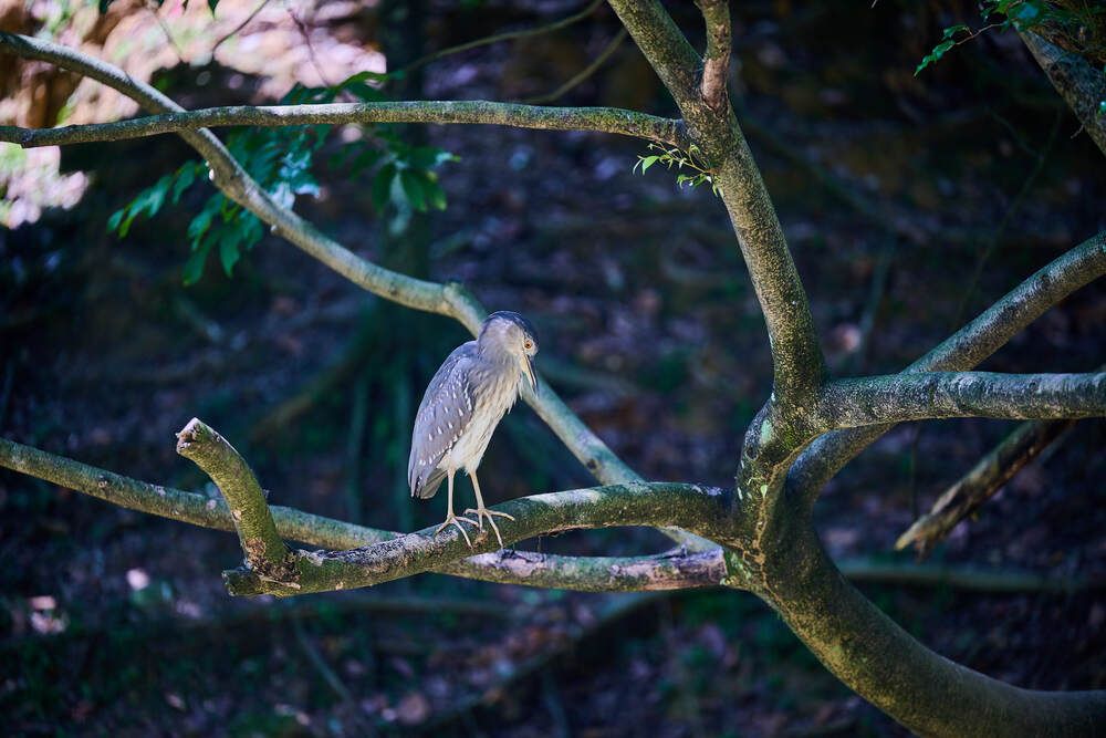 Photograph by Дмитрий Солодухин