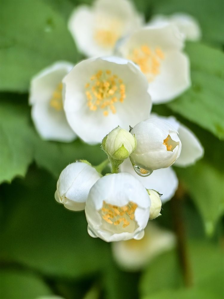 Photograph by Юлия Горелова