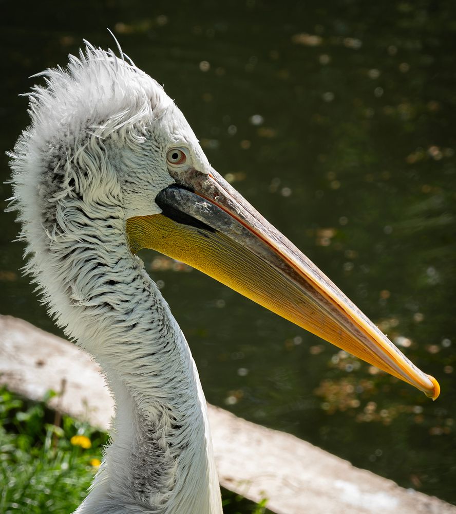 Photograph by Егор Поленов