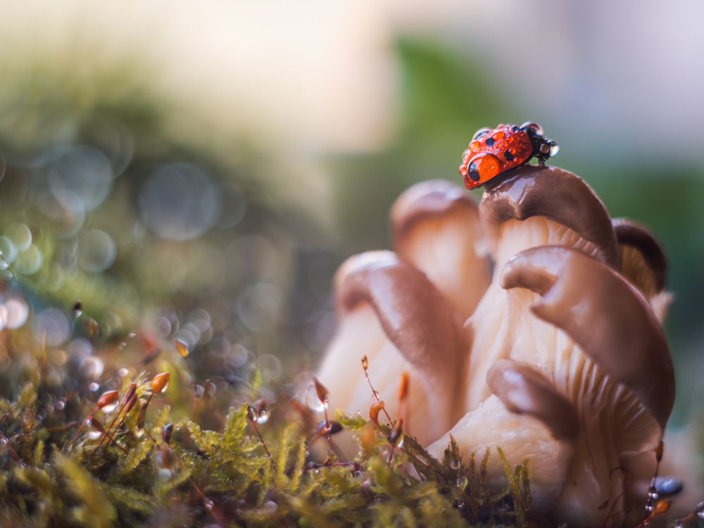 Photograph by Третьякова Анастасия